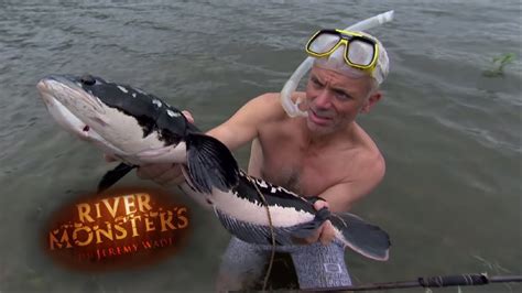 Jeremy Catches Giant Snakehead With Bare Hands SNAKEHEAD River