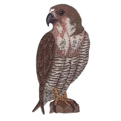 Falcon Embroidery Design - Etsy