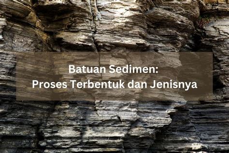 Batuan Sedimen Proses Terbentuk Dan Jenisnya