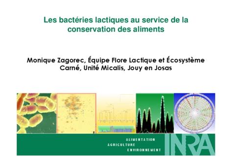 L Activite Proteolytique Des Bacteries Lactiques Pdf Notice Manuel D