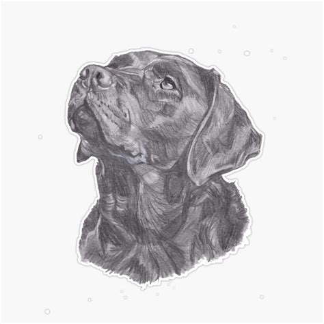 Buy Classic Labrador Retriever Dog Profile Drawing Sticker Vinyl