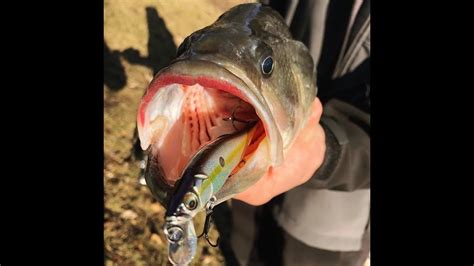 Cold Winter Pond Bass Fishing Youtube