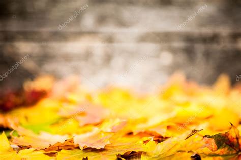 Autumn border from yellow leaves — Stock Photo © Yaruta #10909621