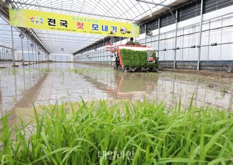 올해 벼 재배면적 2만6000㏊ 줄인다농식품부 적정생산 결의대회 개최