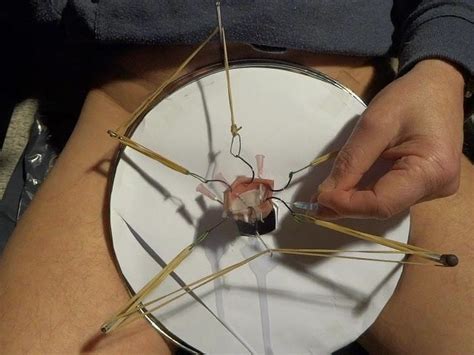 Fishhooks Needles Hotwax Gay Amateur Porn 13 XHamster