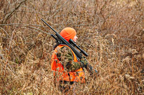 West Virginia Dnr Issues Deer Harvest Totals News Sports Jobs