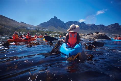 Kaapstad Begeleide Kajaktour Langs De Stranden Van Clifton De Kust