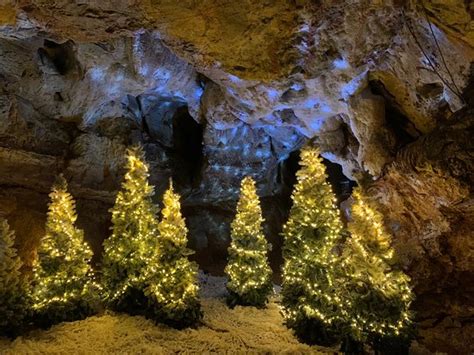 Kents Cavern (Torquay) - 2020 All You Need to Know Before You Go (with ...