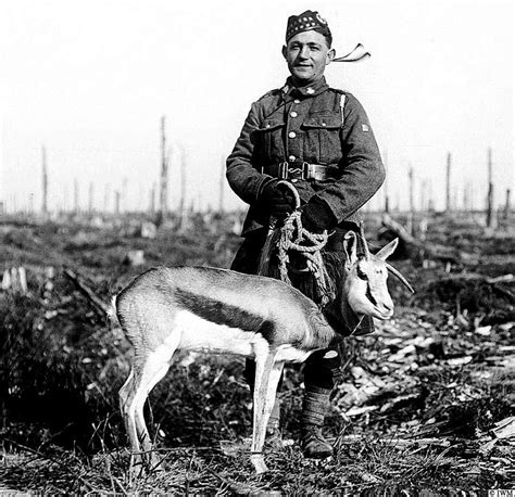 Rob Poulussen On Twitter Otd In Delville Wood France Nancy