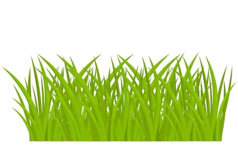 Premium Vector Cartoon Green Grass In Cartoon Style Isolated On White Background