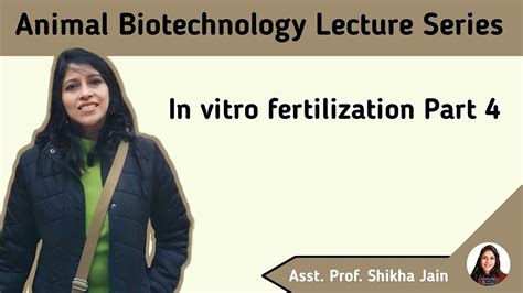 In Vitro Fertilization Part Fertilization And Embryo Culture