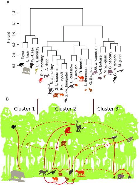 A Cluster Dendrogram Of Overall Vertebrate Assemblage Based On