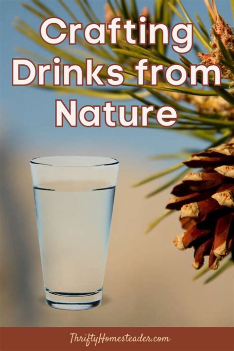 Crafting Drinks From Nature