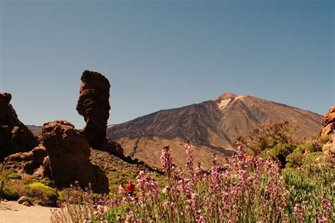 Teide National Park | Tenerife Tourist