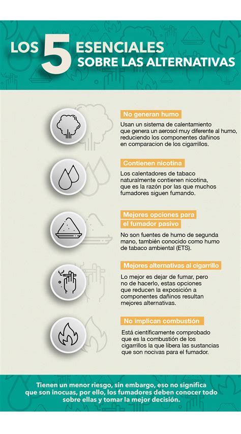 Los 5 Datos Importantes Sobre Las Alternativas ‘libres De Humo Infobae