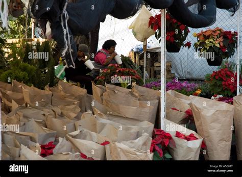 Mercado de plantas xochimilco fotografías e imágenes de alta resolución