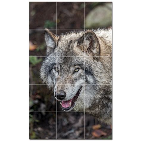 Picture Wolf Photo 6 X 6 Satin Ceramic Decorative Mural Wayfair