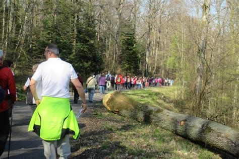 Sud Du Bas Rhin Pour Lutter Contre Le Cancer Colorectal Lun Des Plus