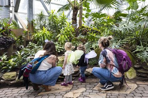 Butterflies Arrive At Meijer Gardens For Annual Taste Of Spring Inside