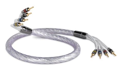 Lautsprecherkabel Qed Signature Genesis Silver Spiral I Fidelity Net