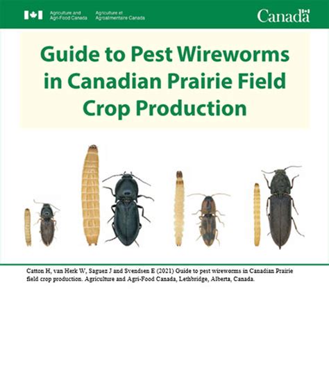 Field Guides Prairie Pest Monitoring Network