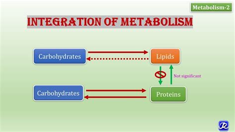 2 Integration Of Metabolism Metabolism 2 Biochemistry Njoy