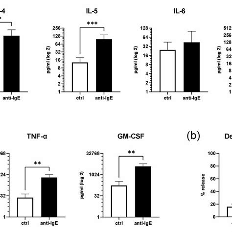 Ige Mediated Activation Of Human Skin Mcs Enhances Mitochondrial