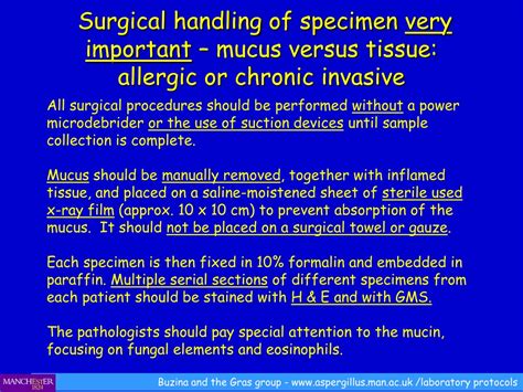 Ppt Aspergillus Sinusitis Powerpoint Presentation Free Download Id