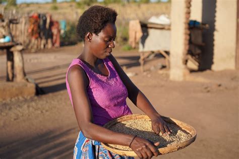 Climate Smart Agriculture Is Reducing Food Waste And Giving Women Hope