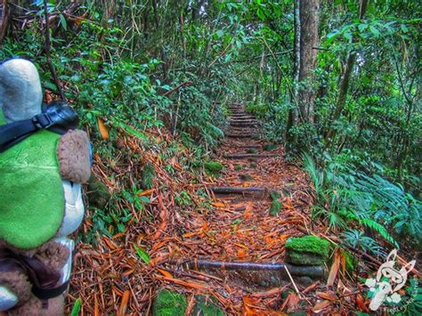 Parque Nacional da Serra dos Órgãos Trilhas Mirantes e História