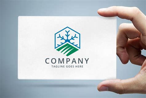 Lawn Care And Snow Removal Logo Template By Zixlo Codester