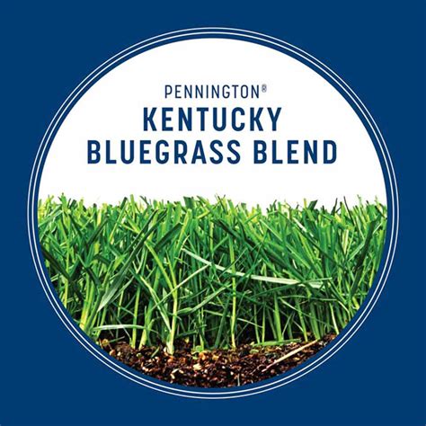 Pennington Kentucky Bluegrass Grass Seed Blend