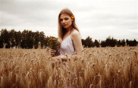 Wallpaper Wheat Field Look Girl Trees Flowers Model Portrait