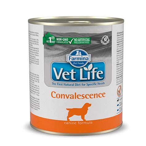 Farmina Vet Life Dog Convalescence Caja 6X300 Gr | RioVet