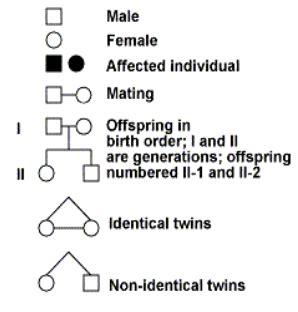 Genetic Traits Chart