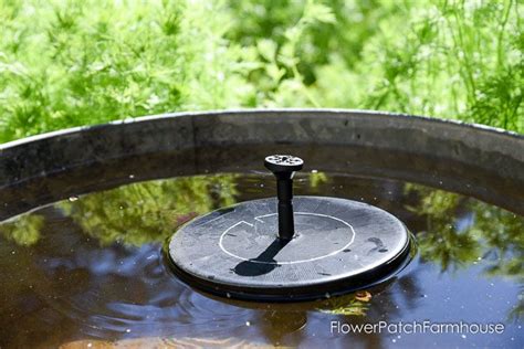 DIY Solar Fountain Hummingbird Bath - Flower Patch Farmhouse