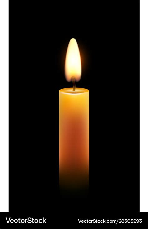 Wax candle flame isolated light background Vector Image