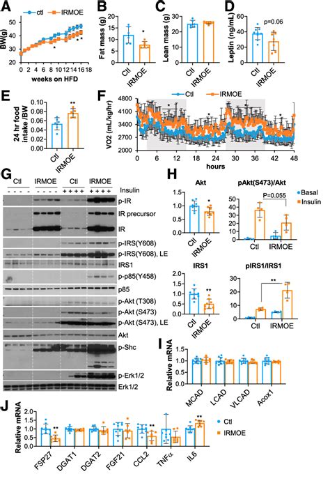 Figure From Muscle Specific Insulin Receptor Overexpression Protects