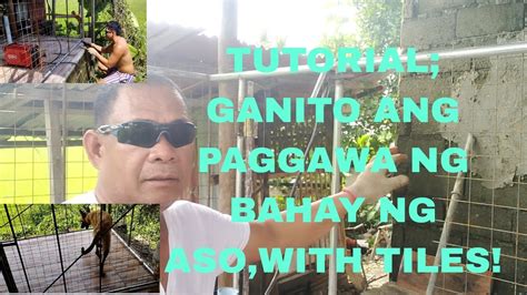 Tutorialpaggawa Ng Bahay Ng Aso With Tiles Sa Pag Aalaga Ng Aso