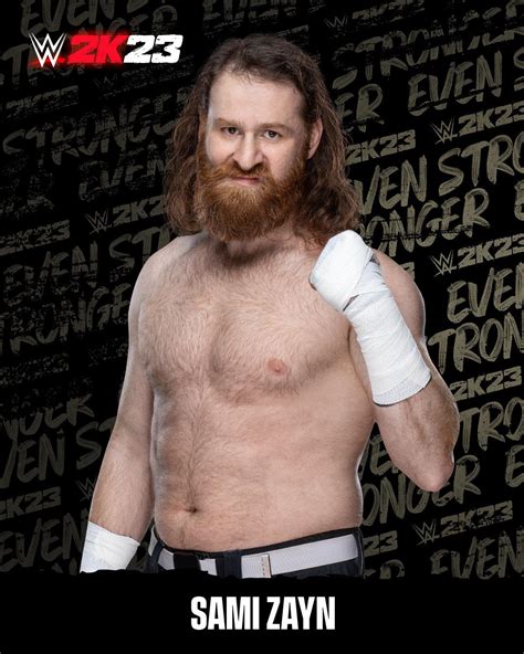 Wwe K Sami Zayn Wwe Photo Fanpop