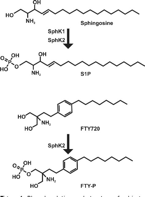 Figure From The Role Of Sphingosine Phosphate In Immunity And