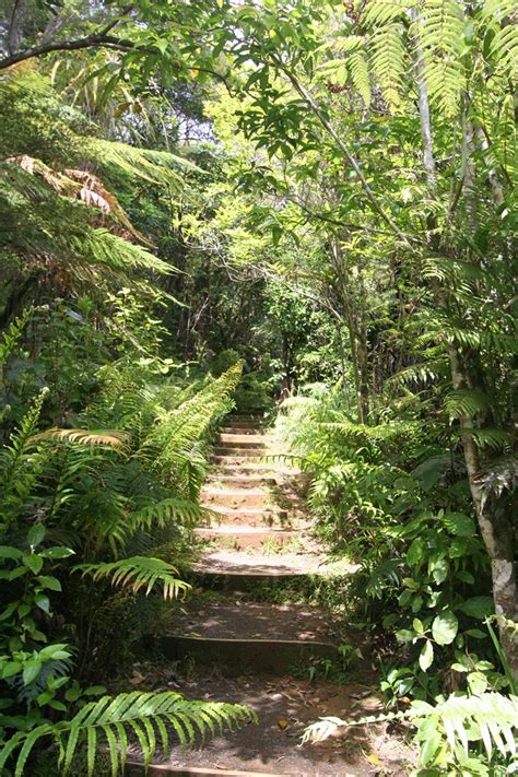 RAPAURA Water Gardens - Thames Coromandel Peninsula