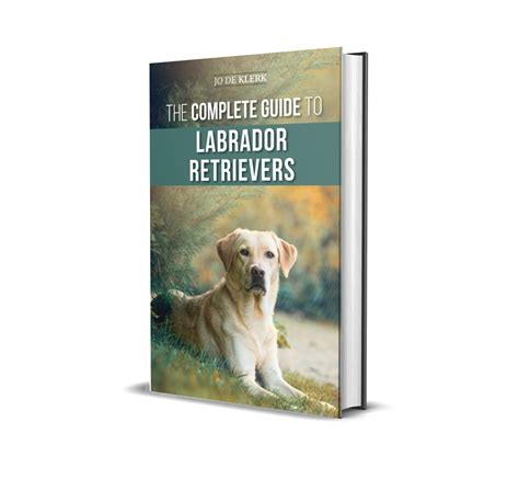 The Complete Guide To Labrador Retrievers Lp Media