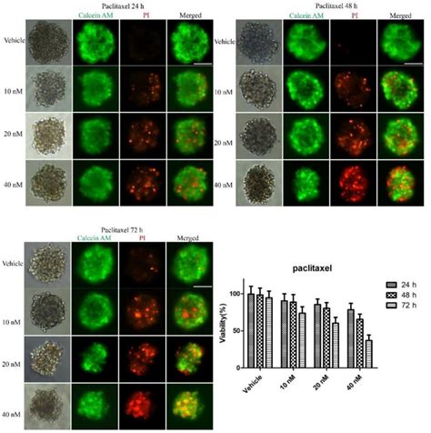 Solarbio小分子化合物荧光染料篇 化工仪器网