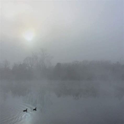 10 Tips For Taking Beautiful iPhone Photos In Mist & Fog