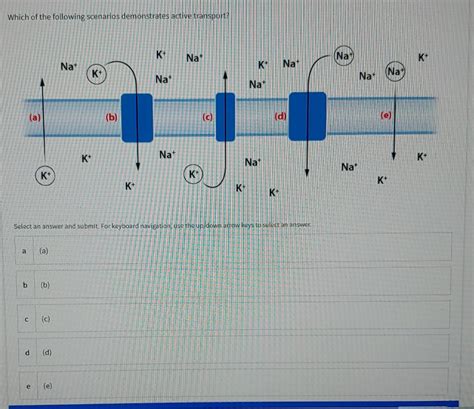 Solved Which Of The Following Scenarios Demonstrates Active Chegg