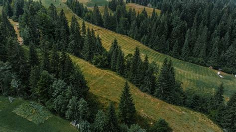 Aerial View of Green Grass Field · Free Stock Photo