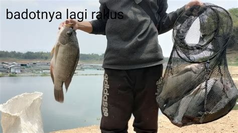 Badot Lagi Pa Boss Badotnya Lagi Rakus Mancing Saguling Terbaru 2023