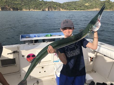 World Record Ladyfish