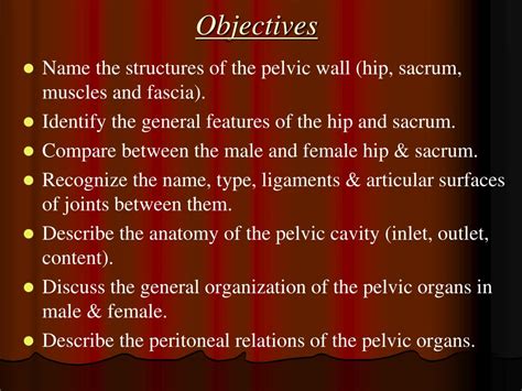 Ppt Bony Pelvic Wall And Pelvic Cavity Powerpoint Presentation Free